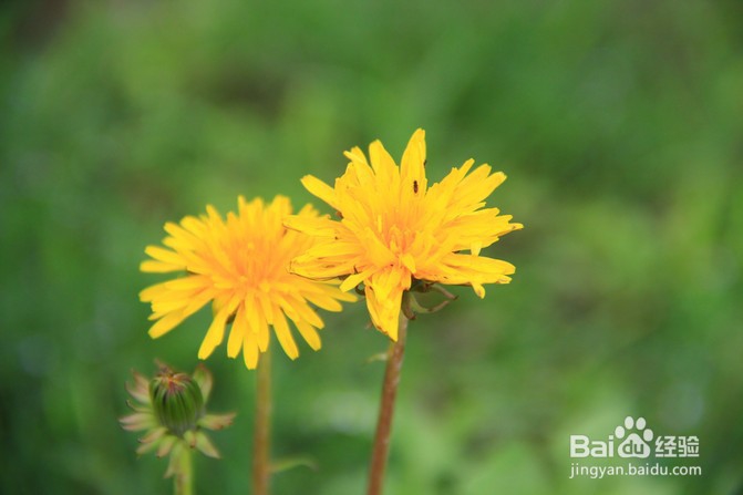 国内义工旅行民宿青年旅舍攻略