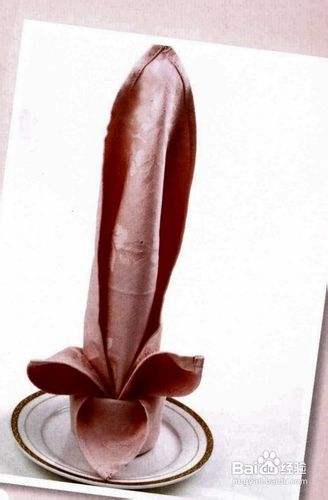 餐巾折花大全第四辑