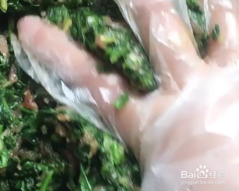 抢着吃的荠菜饺子