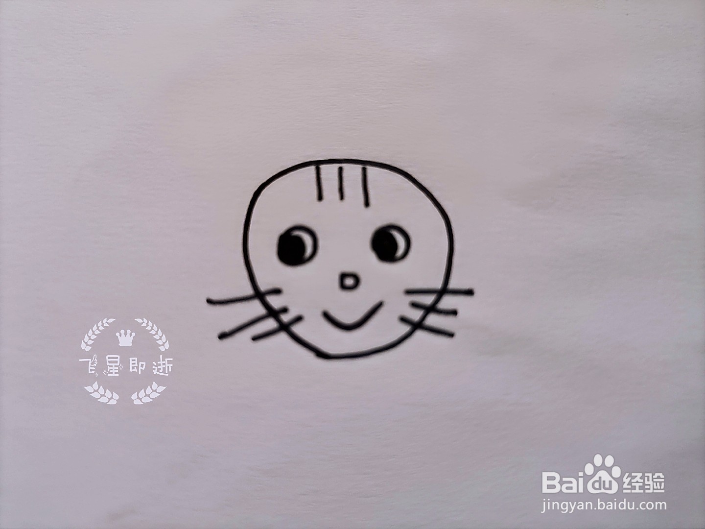 儿童简笔画 一只可爱的猫