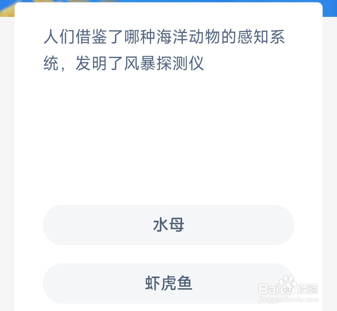 神奇海洋：人们借鉴哪海洋动物发明风暴探测仪