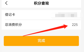 安卓版中国农业银行如何总消费积分