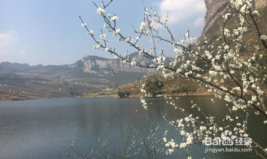 贵阳附近有什么好玩的景点景区