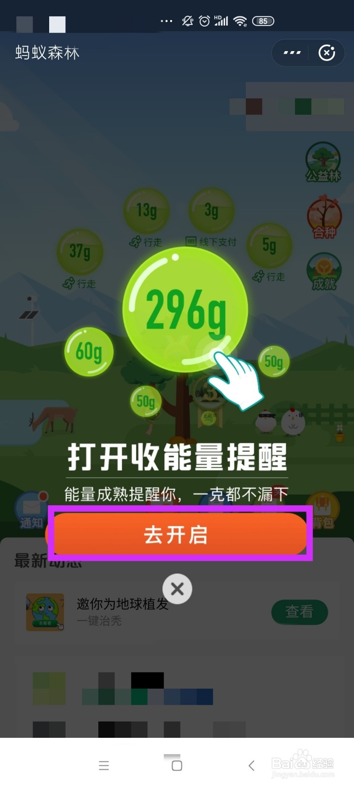 蚂蚁森林如何设置提醒和隐藏能量球