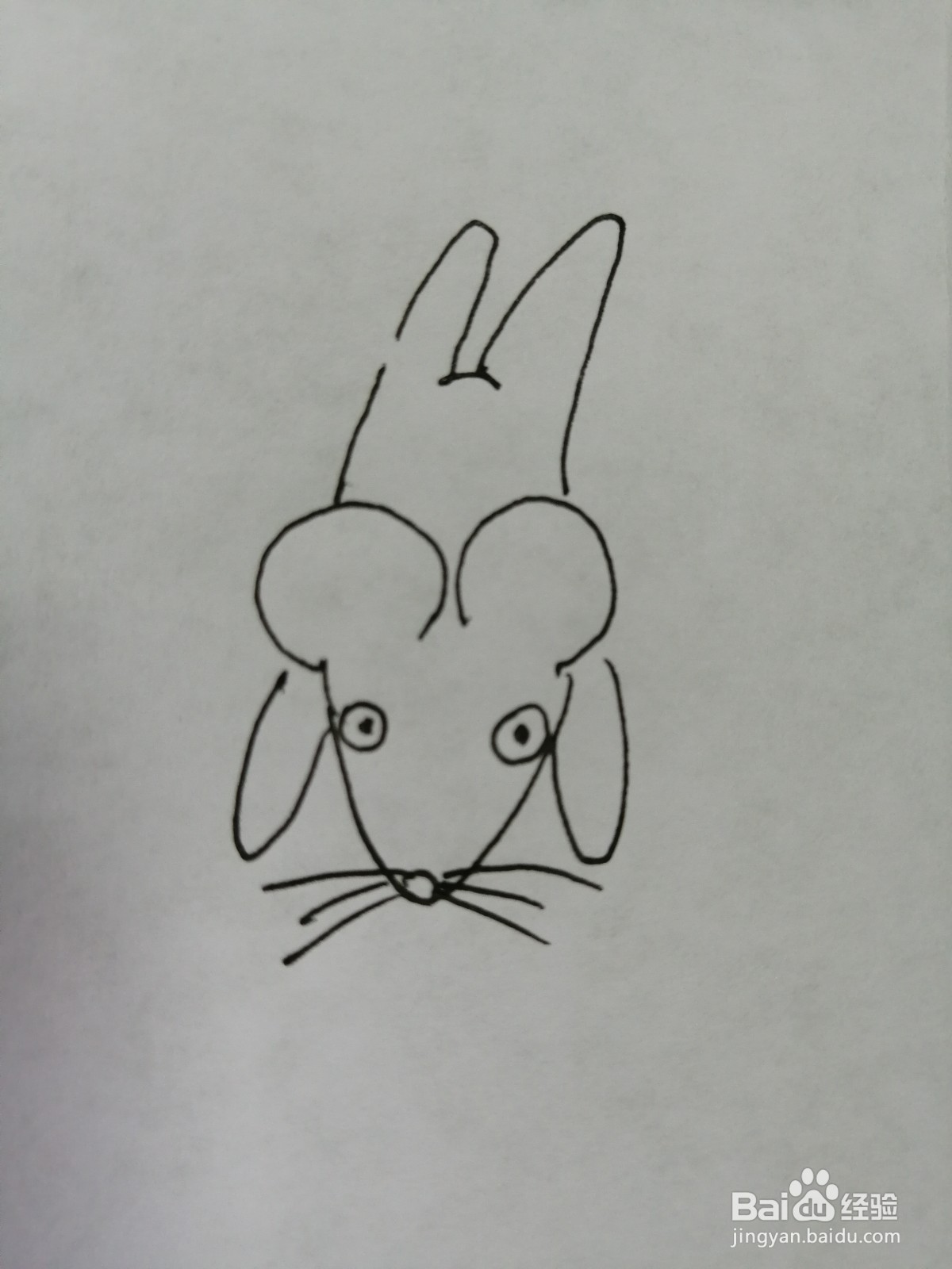 简笔画小老鼠怎么画