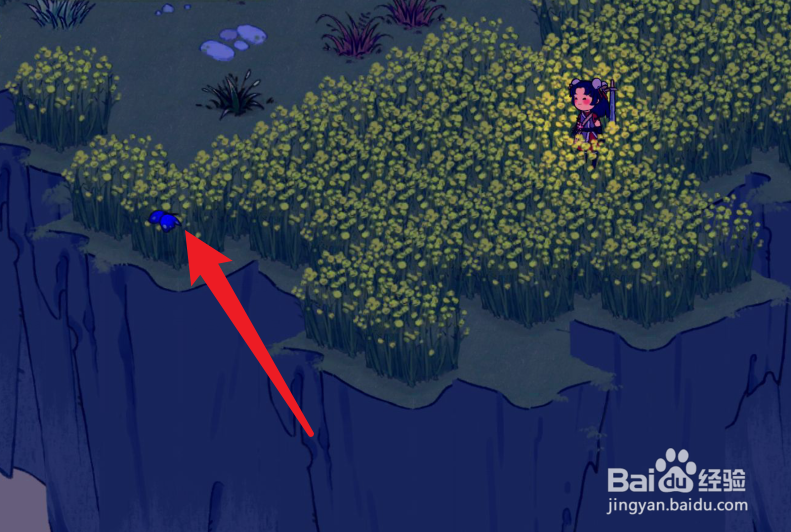 仙山小农大紫蛱蝶怎么抓