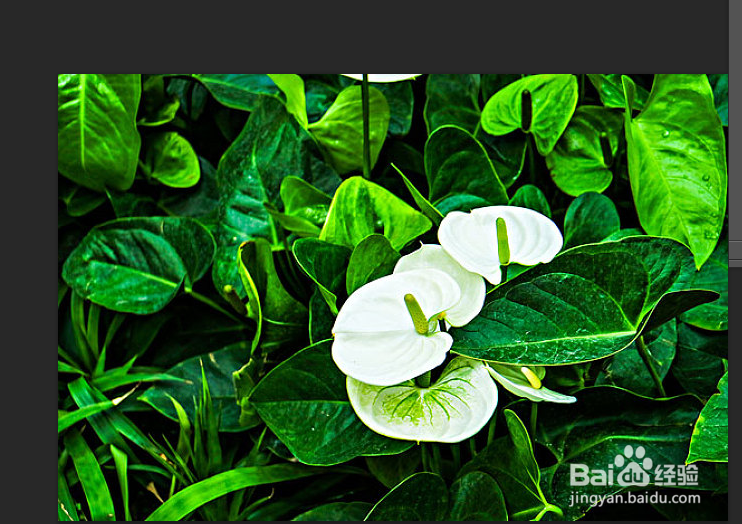 PS中怎么增加画布大小？？