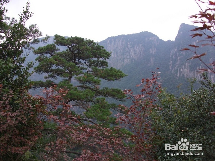 反穿福建福州十八重溪山脊,不一样的味道