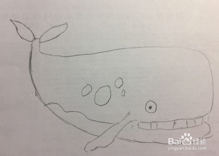 简笔画之喷水的鲸鱼