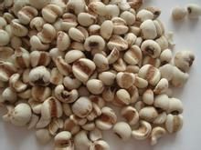 美味食品巧减肥