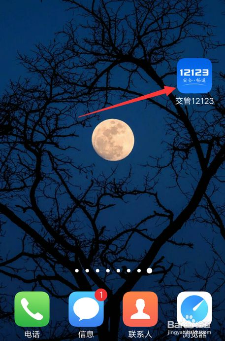 交管12123如何查看电子版检验合格标志