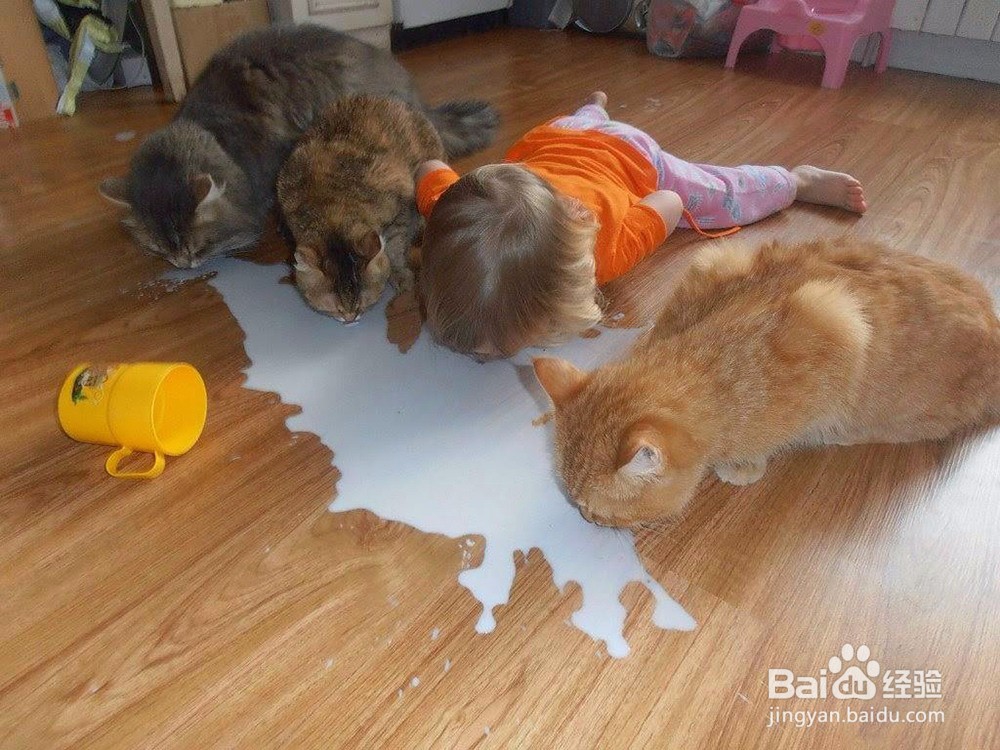 #过年#亲戚的孩子是熊孩子怎么办