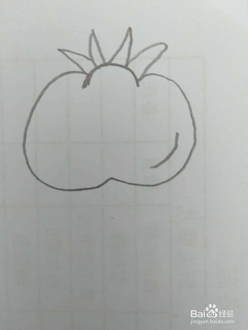 简笔画柿子画法四