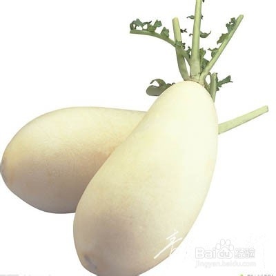 白萝卜有哪些营养价值和功效