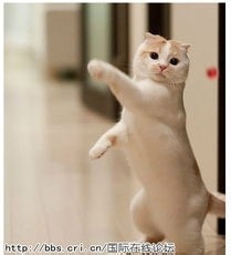 你是有强迫症的人吗