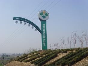 怎样才能有持续不断的写百度经验