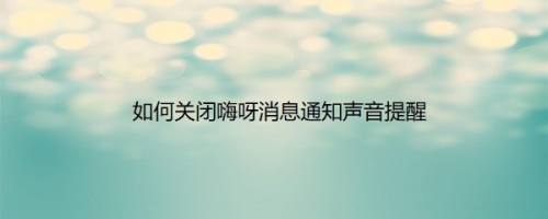 如何关闭嗨呀消息通知声音提醒