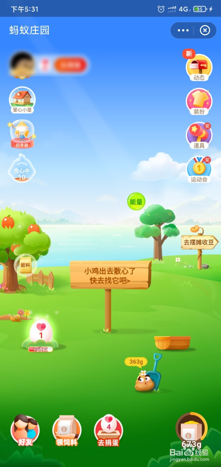 春季种植油菜花需要注意什么蚂蚁庄园