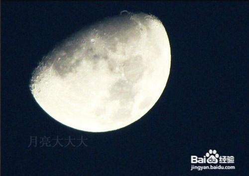 自己一个人在家,可以怎么消磨时间(原创多图)