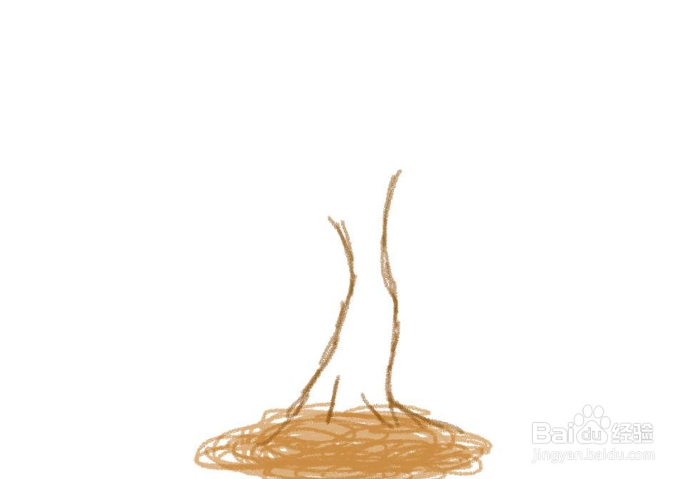 秋天枫树的简笔画