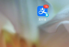 怎么查看支付宝授权登入的应用