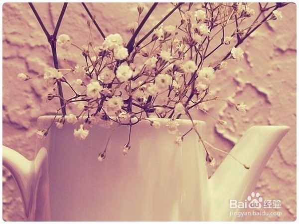 十二星座中一般不与人争，要争就绝不相让的星座