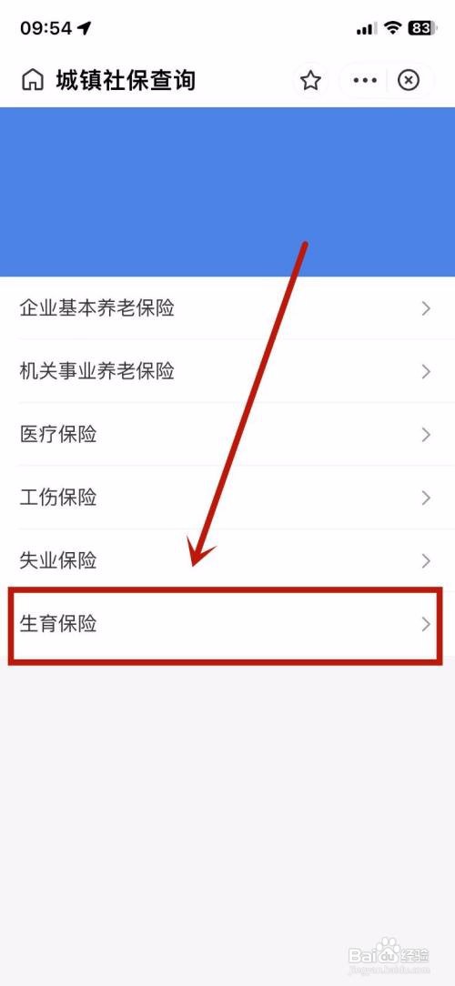 支付宝APP如何查看生育保险交没交
