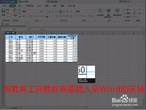 如何将资料以图片形式插入Word？