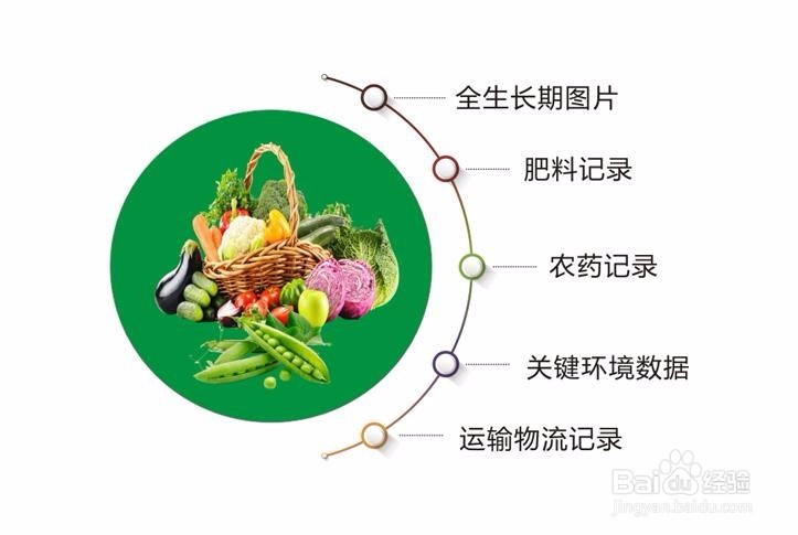 肉类蔬菜流通追溯管理平台流程是怎么样?