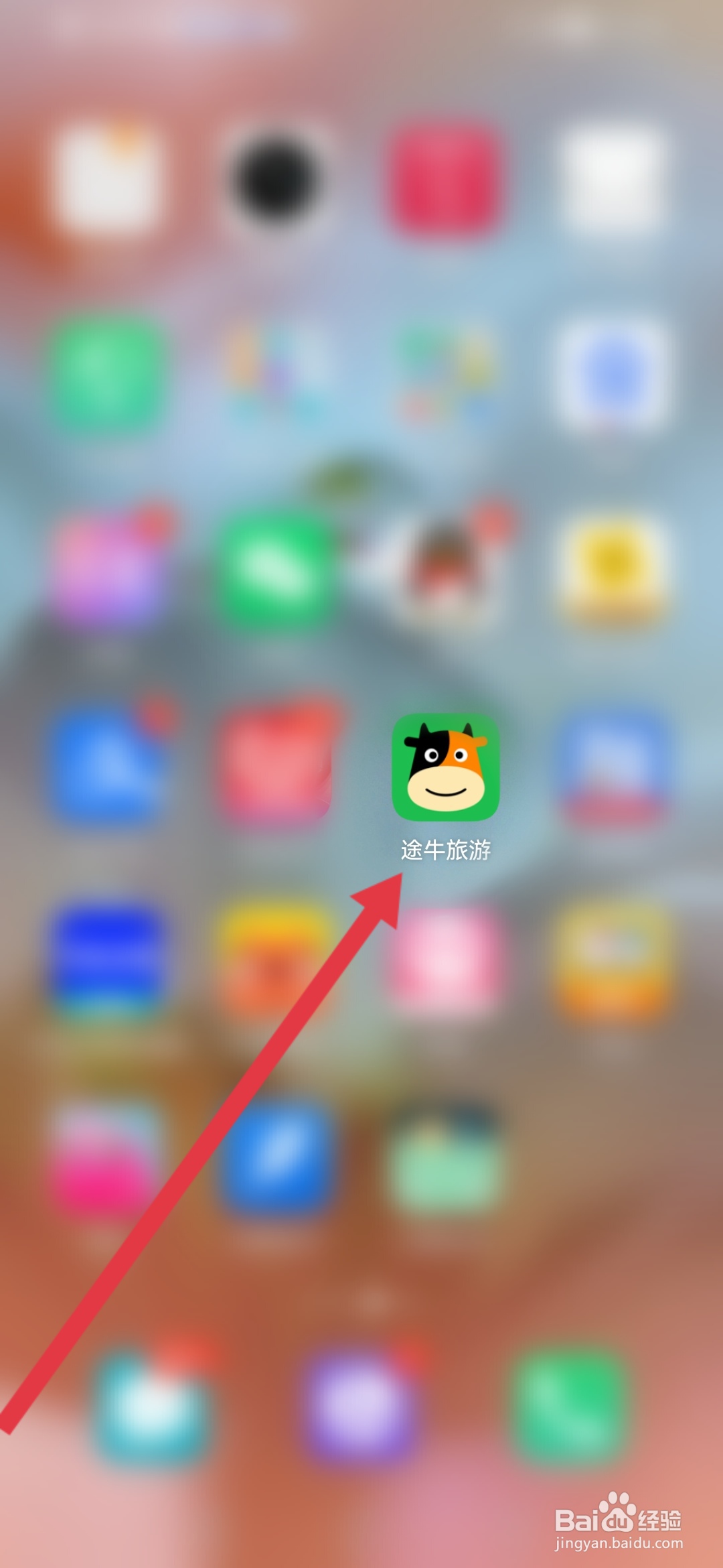 怎么查看途牛旅游公司经营资质证照