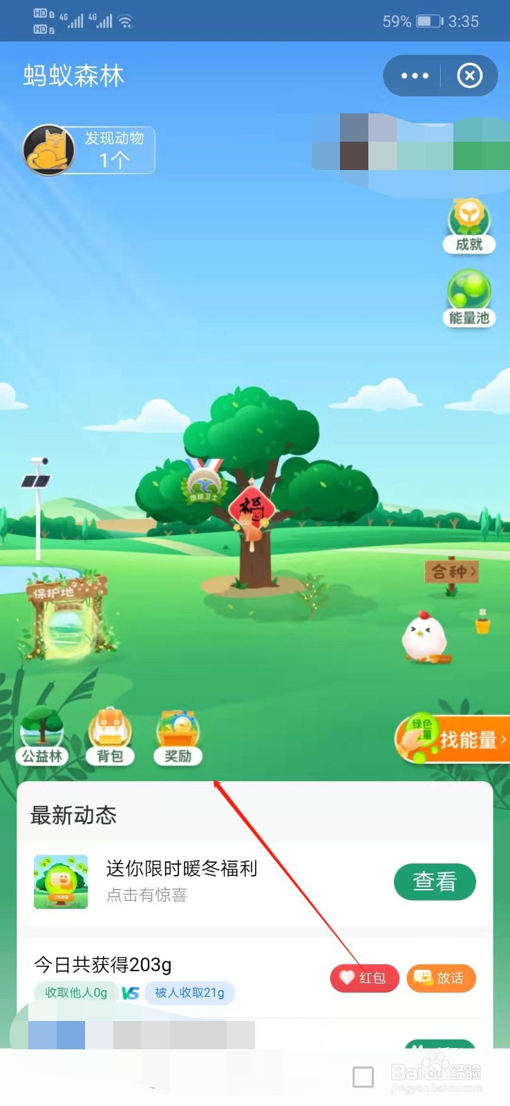 蚂蚁森林如何拯救能量雨