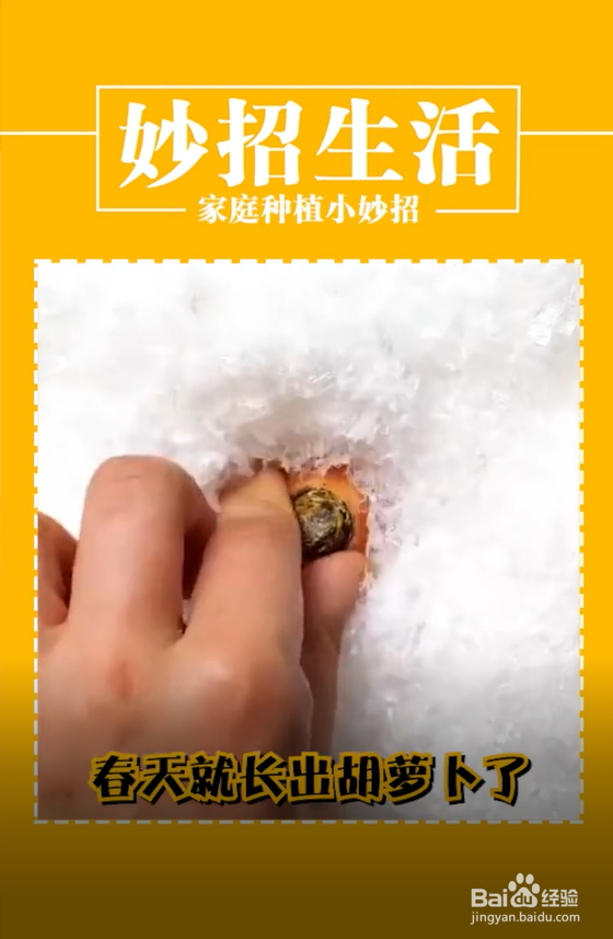 家庭种植小妙招