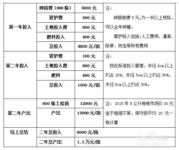 种什么树长的最快
