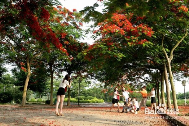 学生张家界旅游线路