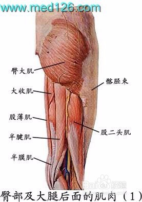 长期跑步如何保护膝盖?