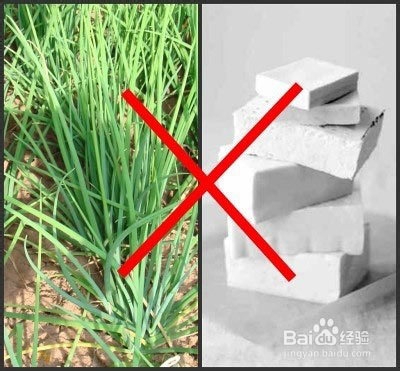 各种食物相克的总结