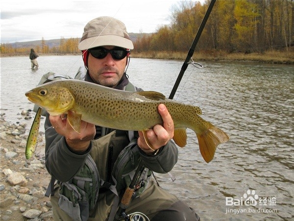 钓鱼人常犯哪些错误