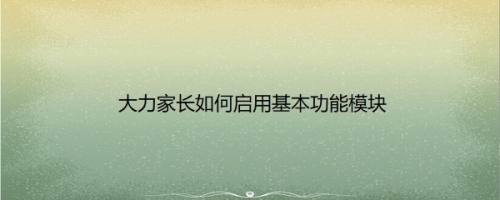 大力家长如何启用基本功能模块