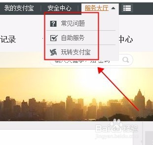 支付宝手机丢失快速挂失与举报钓鱼网站非法网站