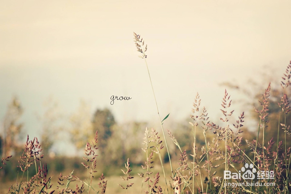 【星座】向来情深,奈何缘浅