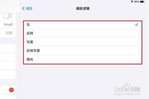 ipad怎么设置缩放滤镜