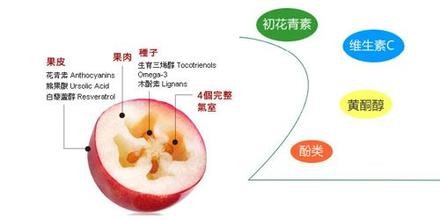 零食可以吃的健康