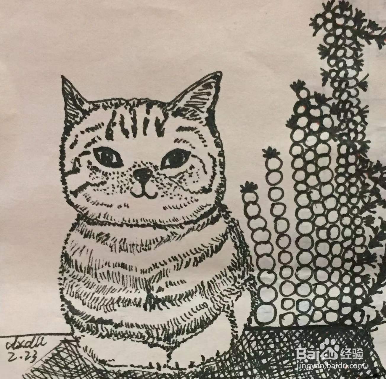 插画教程之猫咪和玄凤鸟