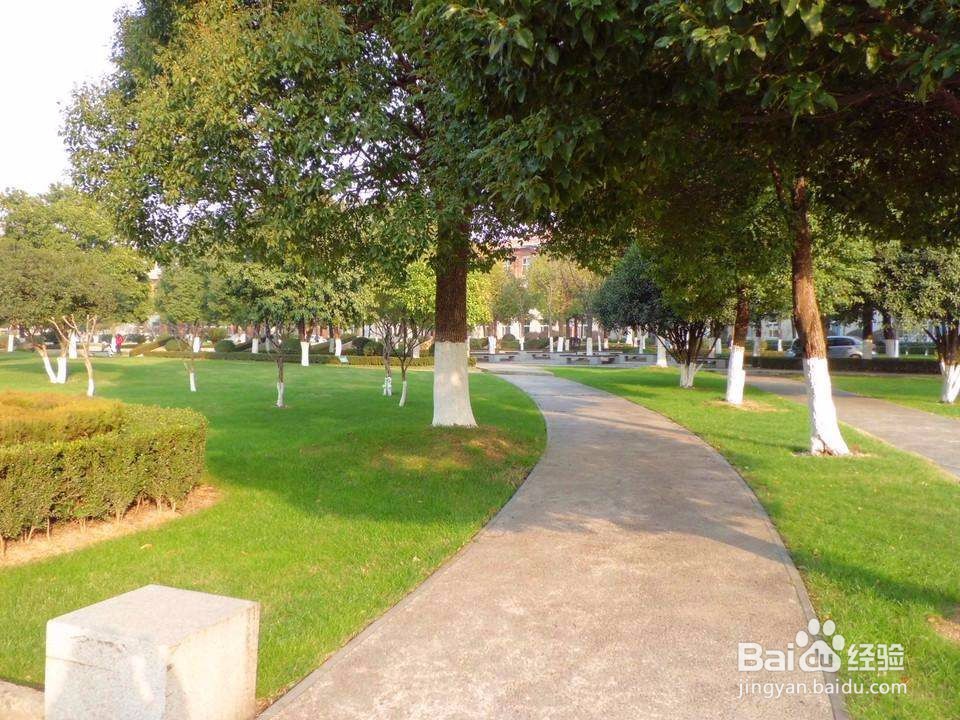 2021白城师范学院函授本科学历到底难不难-最新