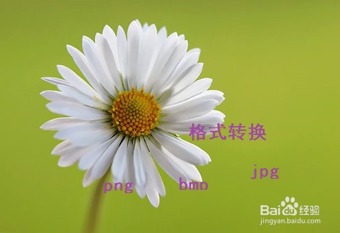 如何将bmp格式转换jpg格式