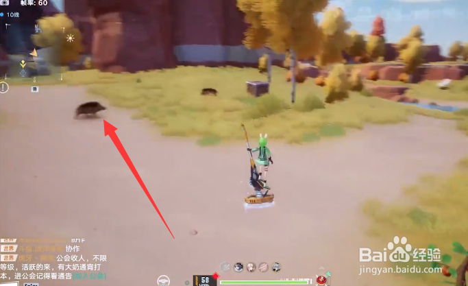 幻塔野猪位置在哪