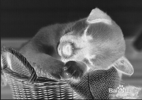 快速利用ps将图片变成素描