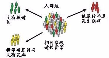 哪些人容易患乳腺癌