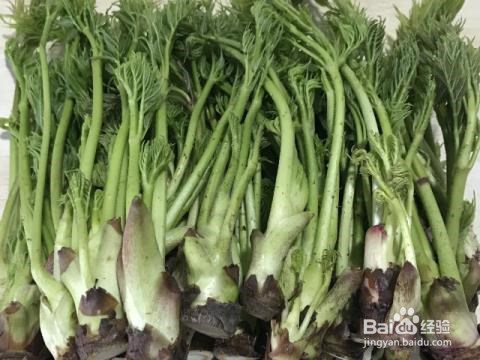 女人如何改善月经量少,减轻妇科炎症,延缓衰老