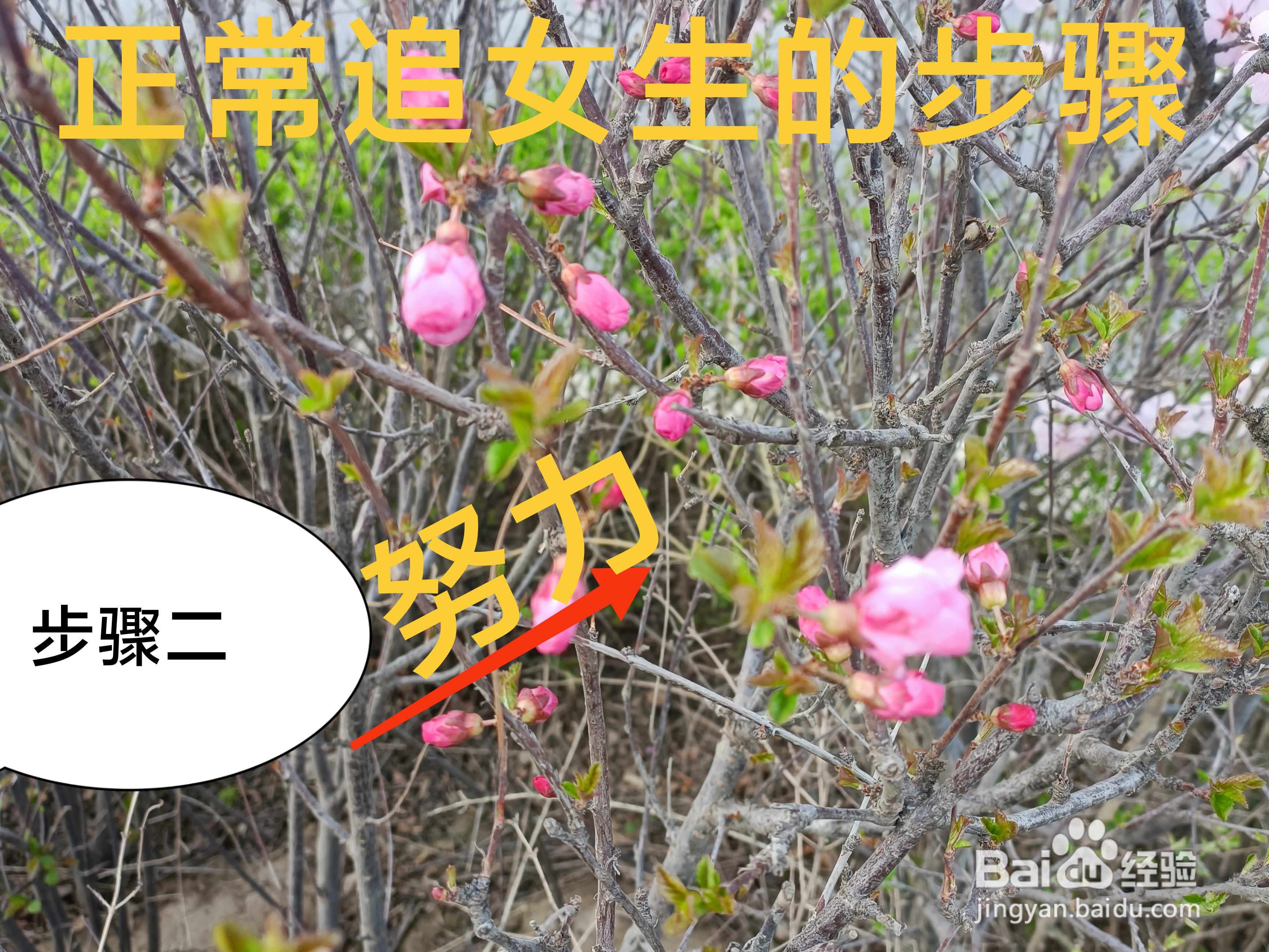 正常追女生的步骤